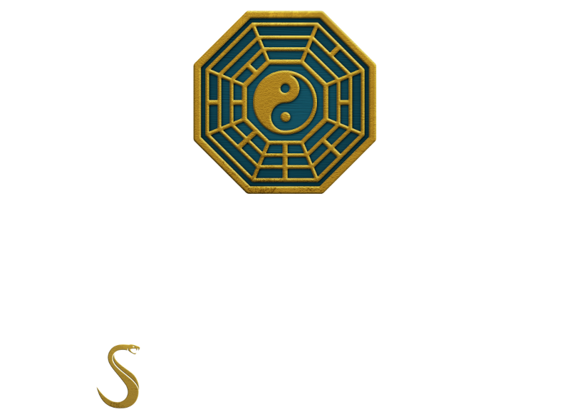 Tai Chi Spirit